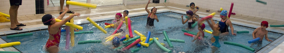 Cursillo de natacion