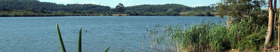 Pozon de la dolores