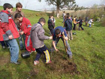 Jóvenes plantando árboles