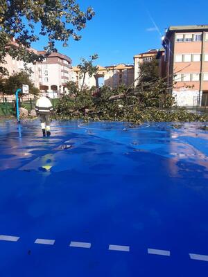 Colegio Matilde de la Torre