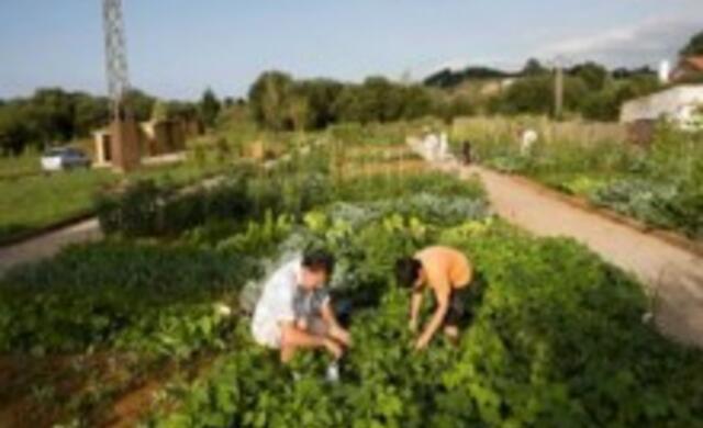 Huertas Ecológicas Intergeneracionales