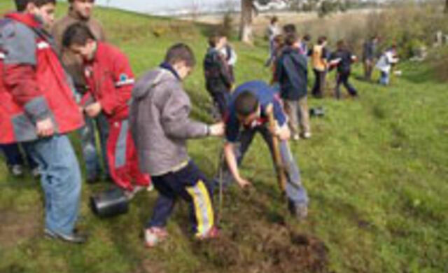 Jóvenes plantando árboles