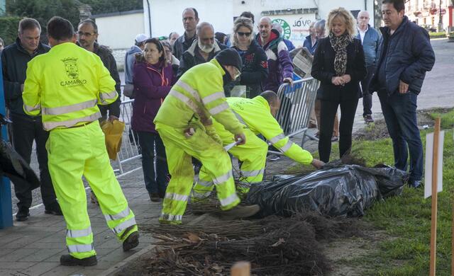 repoblacion_forestal