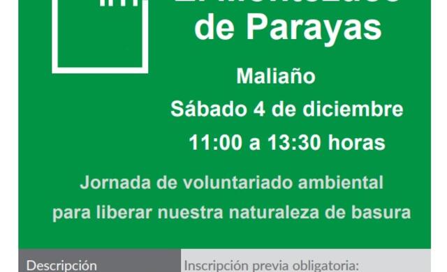 voluntariado ma